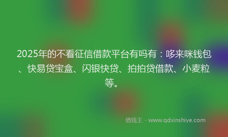2025年的不看征信借款平台有吗有：哆来咪钱包、快易贷宝盒、闪银快贷、拍拍贷借款、小麦粒等。