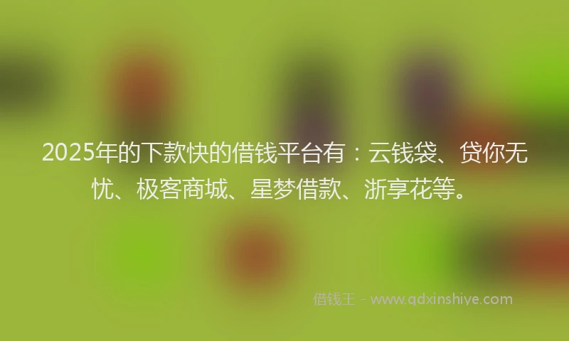 2025年的下款快的借钱平台有：云钱袋、贷你无忧、极客商城、星梦借款、浙享花等。