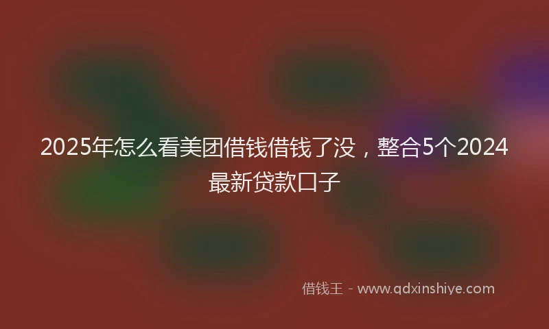 2025年怎么看美团借钱借钱了没，整合5个2024最新贷款口子