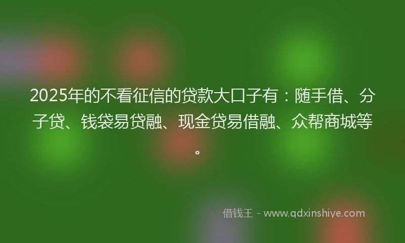 2025年的不看征信的贷款大口子有：随手借、分子贷、钱袋易贷融、现金贷易借融、众帮商城等。
