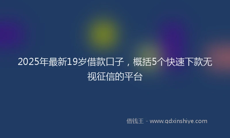 2025年最新19岁借款口子，概括5个快速下款无视征信的平台