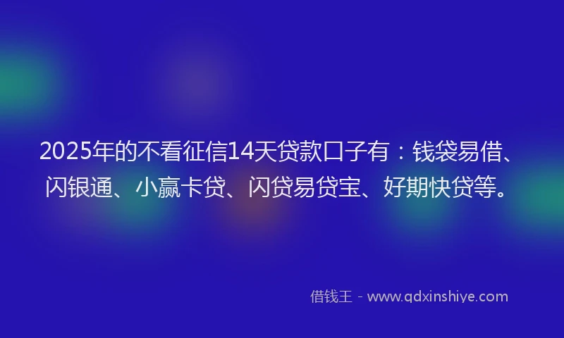 2025年的不看征信14天贷款口子有：钱袋易借、闪银通、小赢卡贷、闪贷易贷宝、好期快贷等。