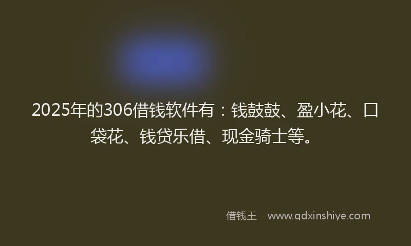 2025年的306借钱软件有：钱鼓鼓、盈小花、口袋花、钱贷乐借、现金骑士等。