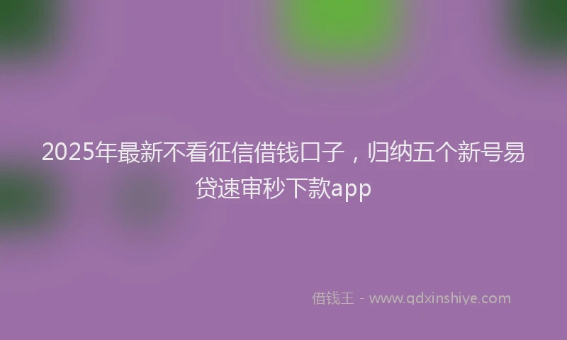 2025年最新不看征信借钱口子，归纳五个新号易贷速审秒下款app