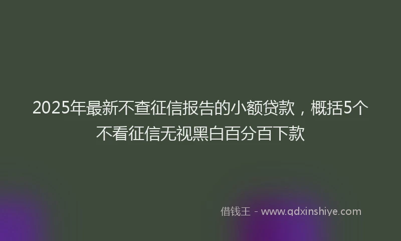 2025年最新不查征信报告的小额贷款，概括5个不看征信无视黑白百分百下款
