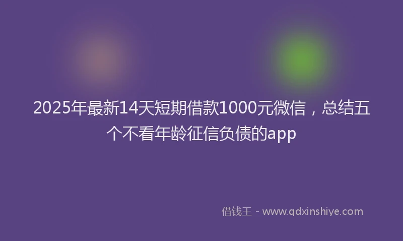 2025年最新14天短期借款1000元微信，总结五个不看年龄征信负债的app
