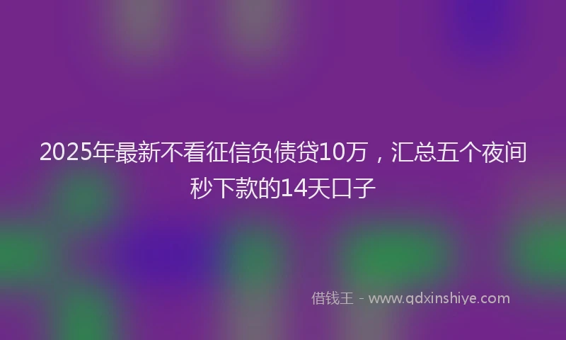 2025年最新不看征信负债贷10万，汇总五个夜间秒下款的14天口子