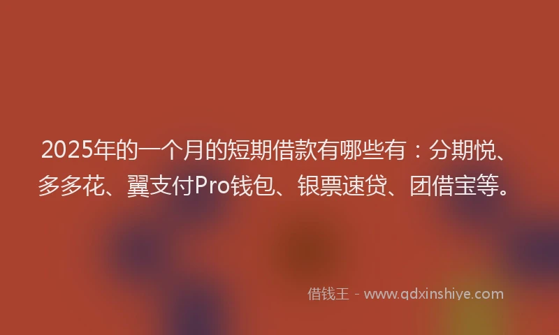2025年的一个月的短期借款有哪些有：分期悦、多多花、翼支付Pro钱包、银票速贷、团借宝等。
