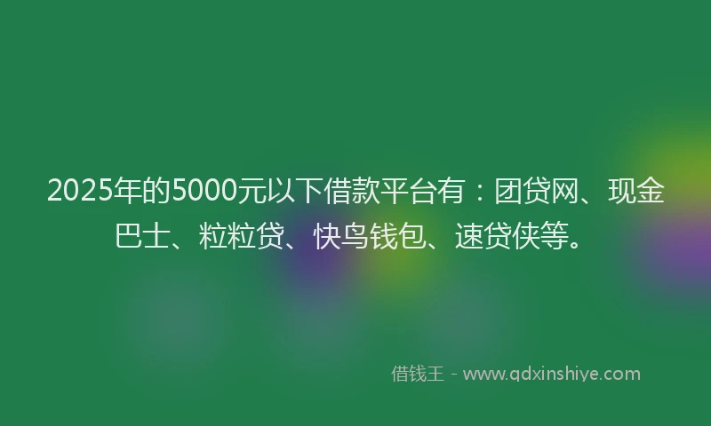 2025年的5000元以下借款平台有：团贷网、现金巴士、粒粒贷、快鸟钱包、速贷侠等。