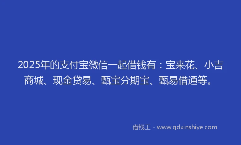 2025年的支付宝微信一起借钱有：宝来花、小吉商城、现金贷易、甄宝分期宝、甄易借通等。