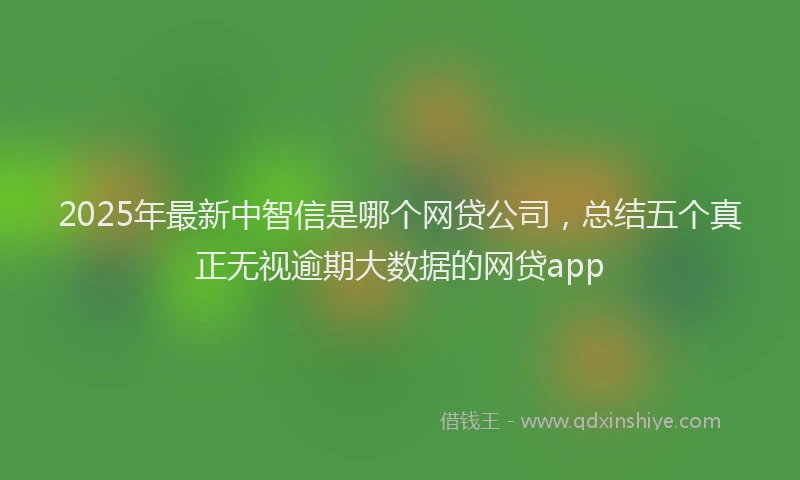 2025年最新中智信是哪个网贷公司，总结五个真正无视逾期大数据的网贷app