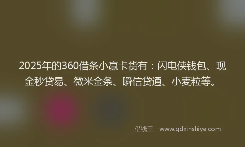 2025年的360借条小赢卡货有：闪电侠钱包、现金秒贷易、微米金条、瞬信贷通、小麦粒等。