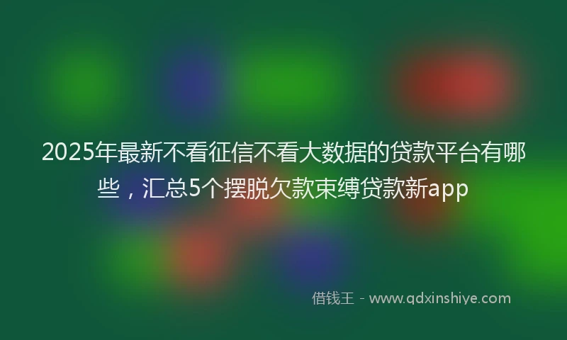 2025年最新不看征信不看大数据的贷款平台有哪些，汇总5个摆脱欠款束缚贷款新app
