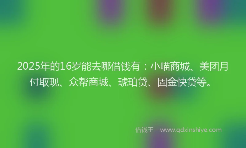 2025年的16岁能去哪借钱有：小喵商城、美团月付取现、众帮商城、琥珀贷、固金快贷等。