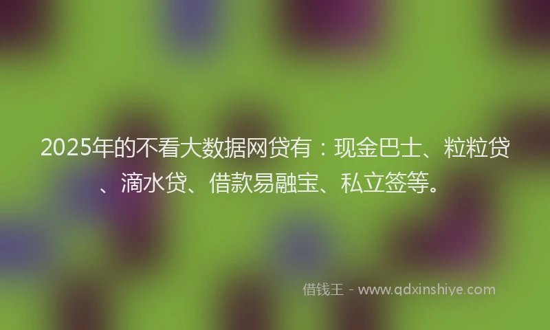 2025年的不看大数据网贷有：现金巴士、粒粒贷、滴水贷、借款易融宝、私立签等。
