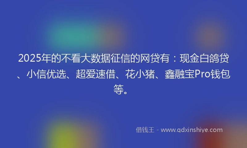 2025年的不看大数据征信的网贷有：现金白鸽贷、小信优选、超爱速借、花小猪、鑫融宝Pro钱包等。
