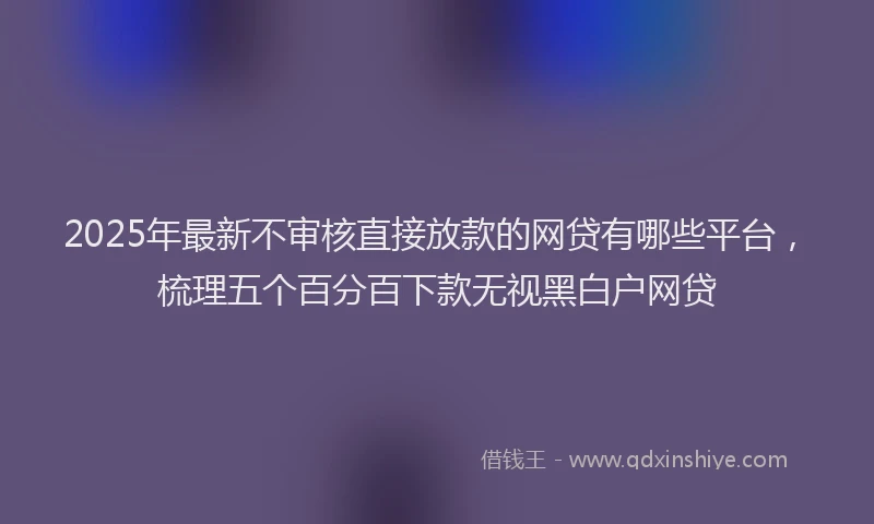 2025年最新不审核直接放款的网贷有哪些平台，梳理五个百分百下款无视黑白户网贷