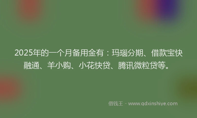 2025年的一个月备用金有：玛瑙分期、借款宝快融通、羊小购、小花快贷、腾讯微粒贷等。