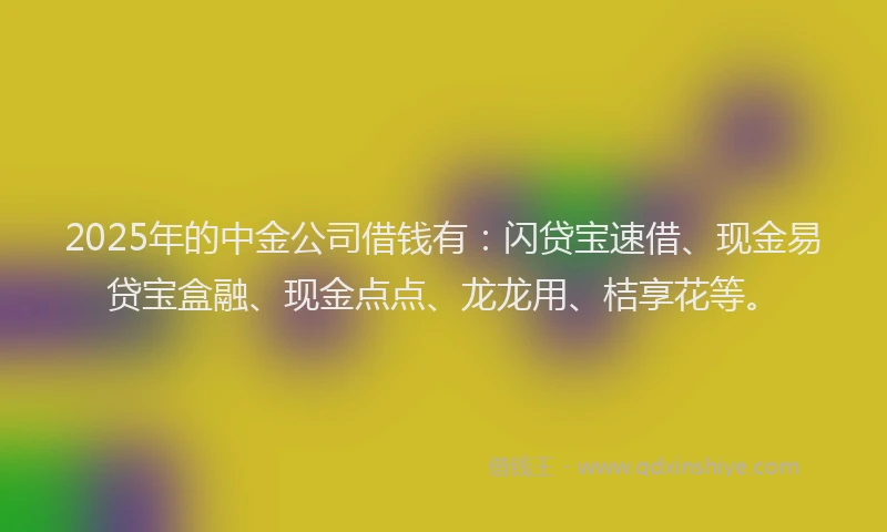 2025年的中金公司借钱有：闪贷宝速借、现金易贷宝盒融、现金点点、龙龙用、桔享花等。