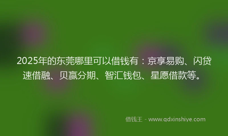 2025年的东莞哪里可以借钱有：京享易购、闪贷速借融、贝赢分期、智汇钱包、星愿借款等。