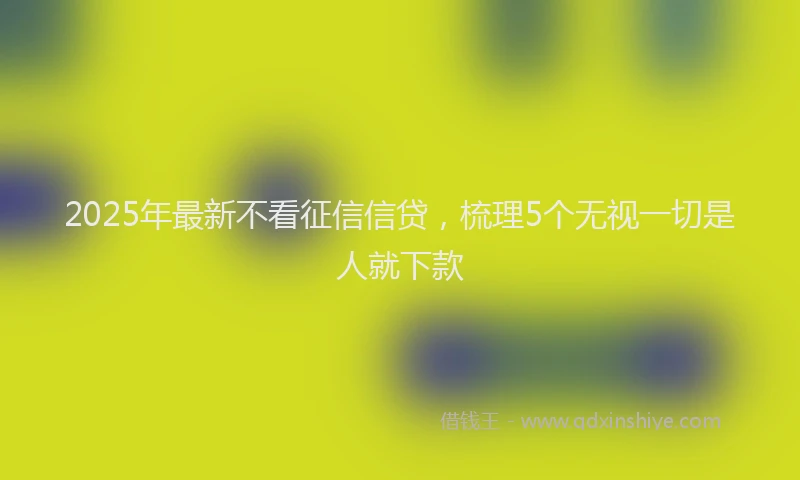2025年最新不看征信信贷，梳理5个无视一切是人就下款
