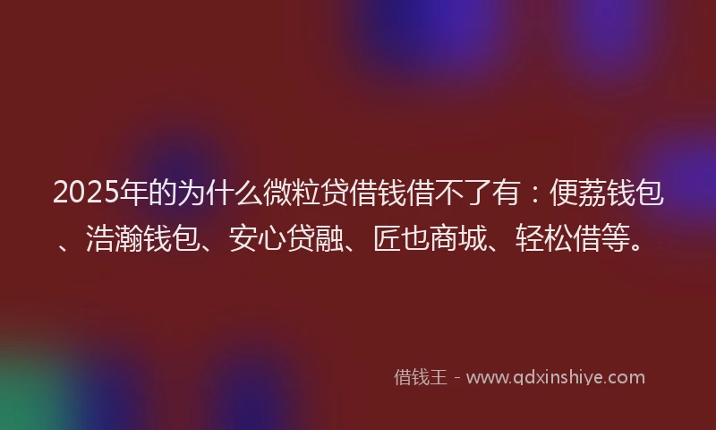 2025年的为什么微粒贷借钱借不了有：便荔钱包、浩瀚钱包、安心贷融、匠也商城、轻松借等。