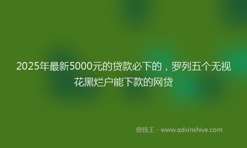 2025年最新5000元的贷款必下的，罗列五个无视花黑烂户能下款的网贷