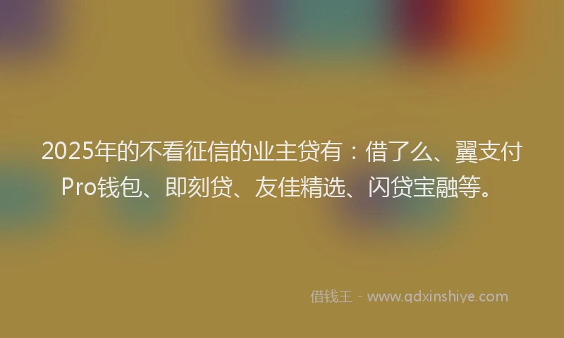 2025年的不看征信的业主贷有：借了么、翼支付Pro钱包、即刻贷、友佳精选、闪贷宝融等。
