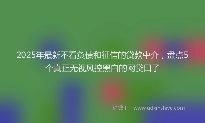 2025年最新不看负债和征信的贷款中介，盘点5个真正无视风控黑白的网贷口子