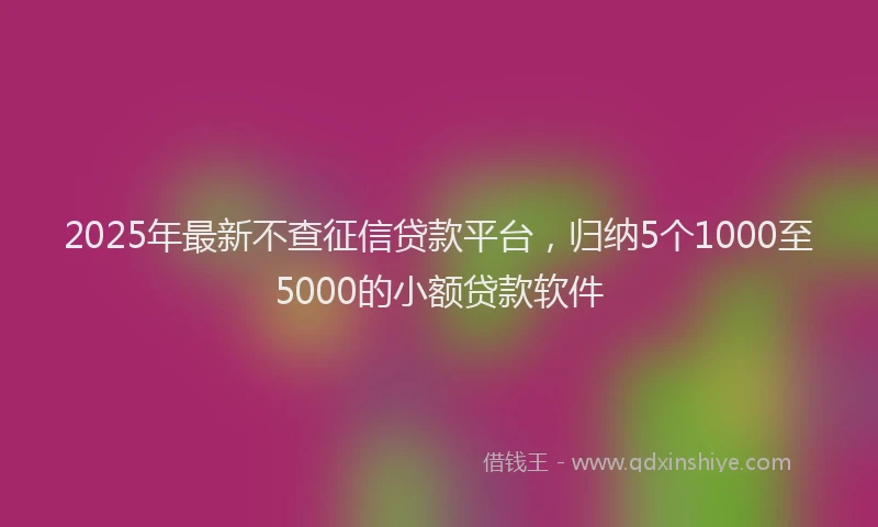 2025年最新不查征信贷款平台，归纳5个1000至5000的小额贷款软件