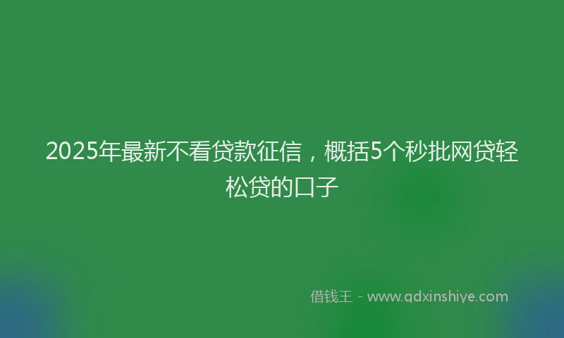 2025年最新不看贷款征信，概括5个秒批网贷轻松贷的口子