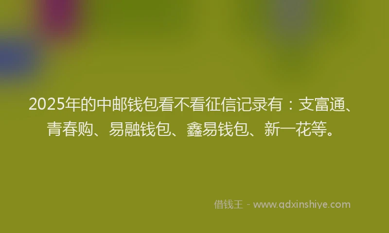 2025年的中邮钱包看不看征信记录有：支富通、青春购、易融钱包、鑫易钱包、新一花等。