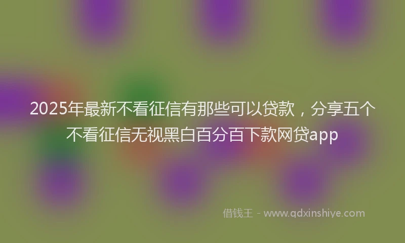 2025年最新不看征信有那些可以贷款，分享五个不看征信无视黑白百分百下款网贷app