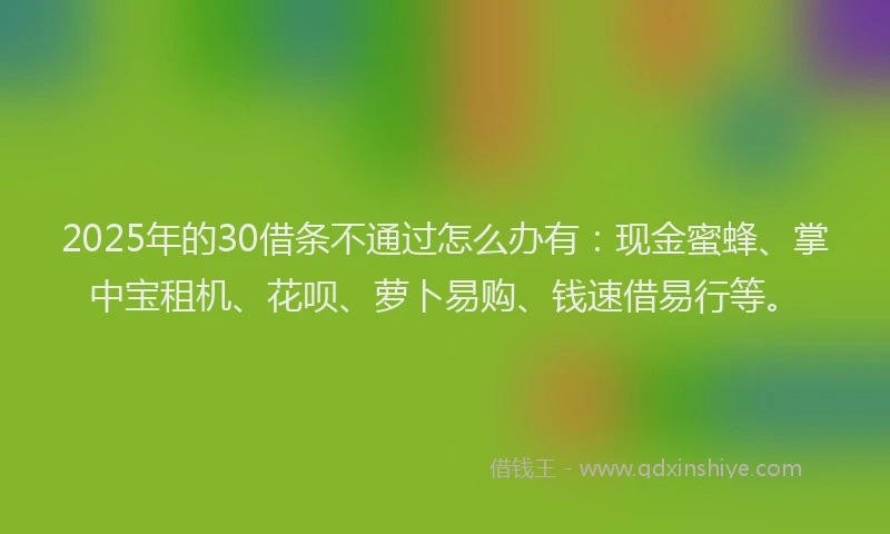 2025年的30借条不通过怎么办有：现金蜜蜂、掌中宝租机、花呗、萝卜易购、钱速借易行等。