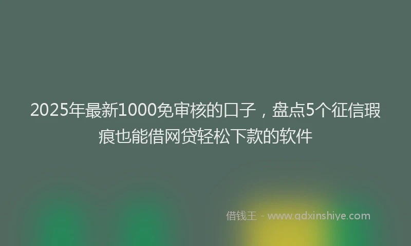 2025年最新1000免审核的口子，盘点5个征信瑕疵也能借网贷轻松下款的软件