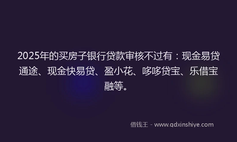 2025年的买房子银行贷款审核不过有：现金易贷通途、现金快易贷、盈小花、哆哆贷宝、乐借宝融等。