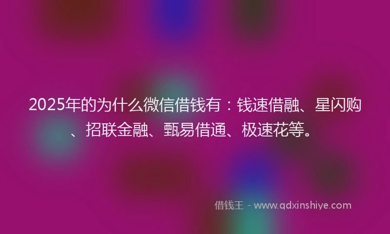 2025年的为什么微信借钱有：钱速借融、星闪购、招联金融、甄易借通、极速花等。