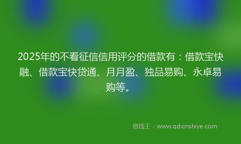 2025年的不看征信信用评分的借款有：借款宝快融、借款宝快贷通、月月盈、独品易购、永卓易购等。