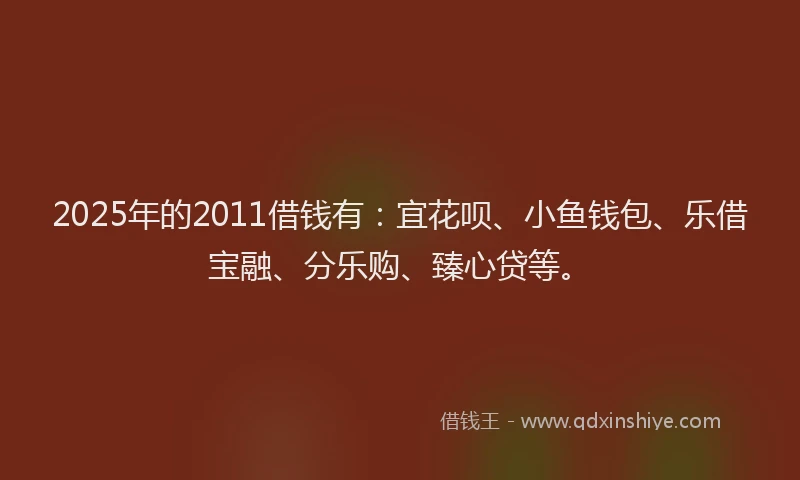 2025年的2011借钱有：宜花呗、小鱼钱包、乐借宝融、分乐购、臻心贷等。