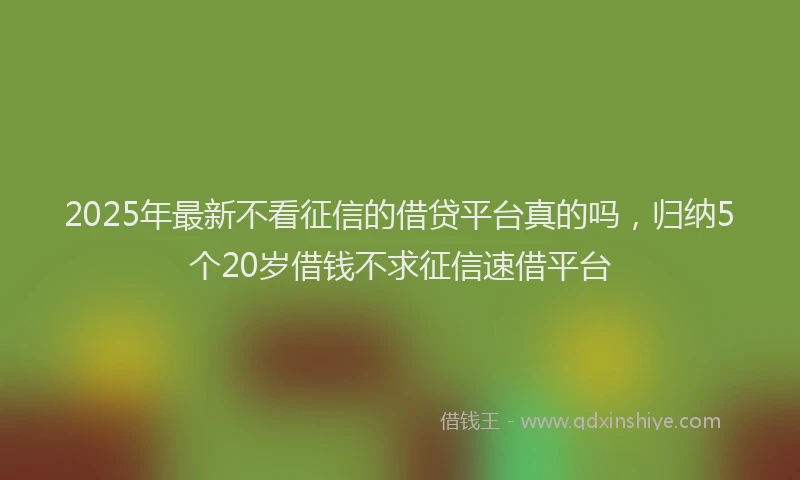 2025年最新不看征信的借贷平台真的吗，归纳5个20岁借钱不求征信速借平台