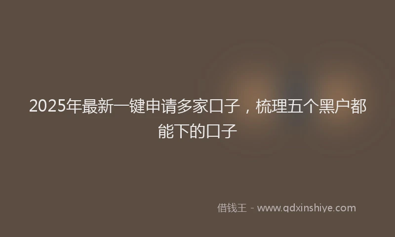 2025年最新一键申请多家口子，梳理五个黑户都能下的口子