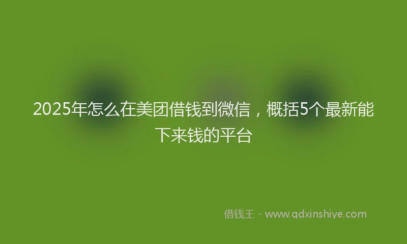 2025年怎么在美团借钱到微信，概括5个最新能下来钱的平台