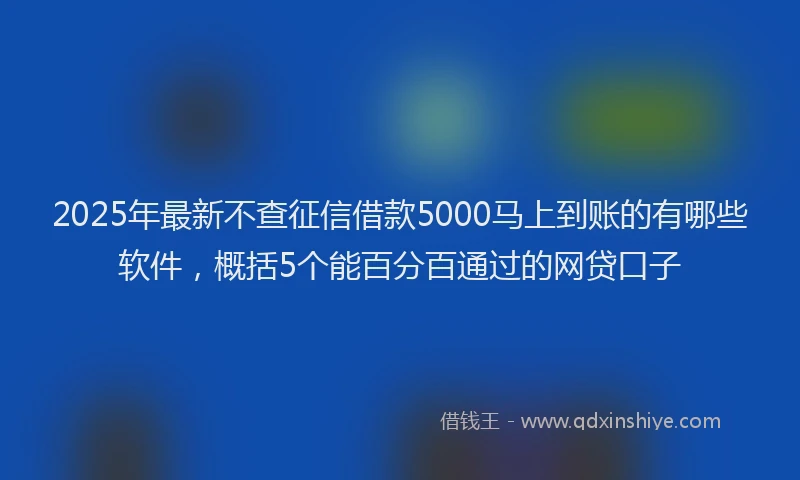 2025年最新不查征信借款5000马上到账的有哪些软件，概括5个能百分百通过的网贷口子