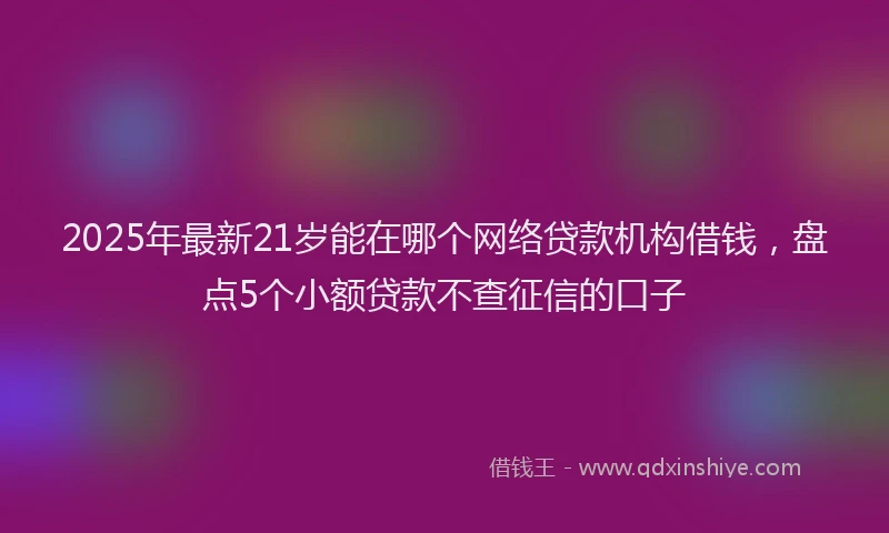 2025年最新21岁能在哪个网络贷款机构借钱，盘点5个小额贷款不查征信的口子