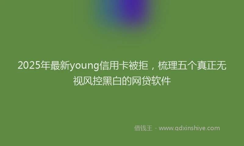 2025年最新young信用卡被拒，梳理五个真正无视风控黑白的网贷软件