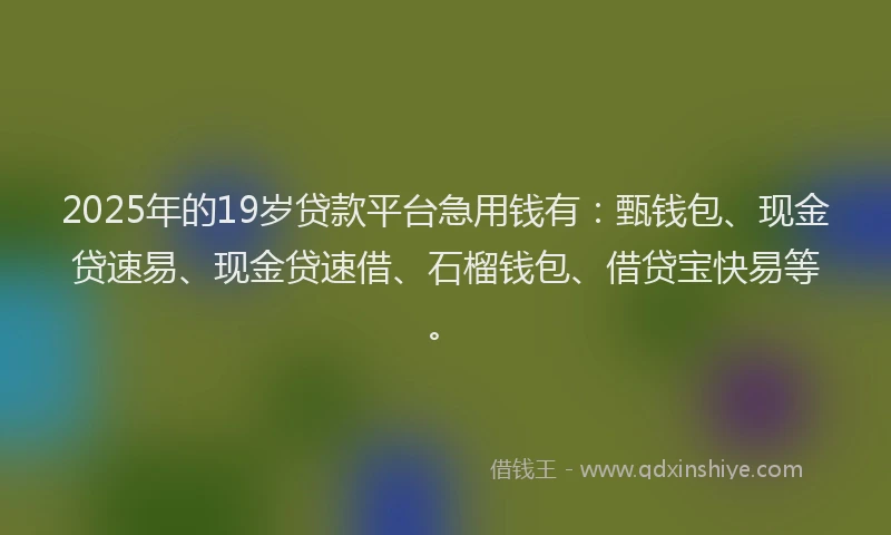 2025年的19岁贷款平台急用钱有：甄钱包、现金贷速易、现金贷速借、石榴钱包、借贷宝快易等。