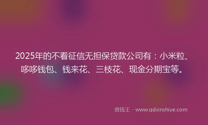 2025年的不看征信无担保贷款公司有：小米粒、哆哆钱包、钱来花、三枝花、现金分期宝等。