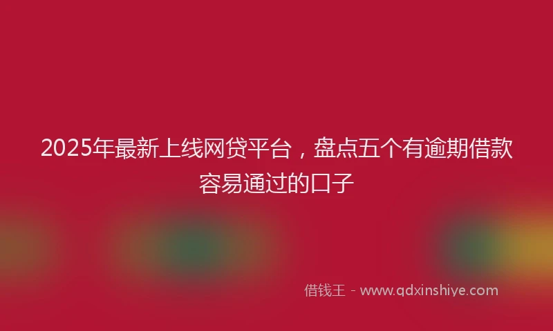 2025年最新上线网贷平台，盘点五个有逾期借款容易通过的口子