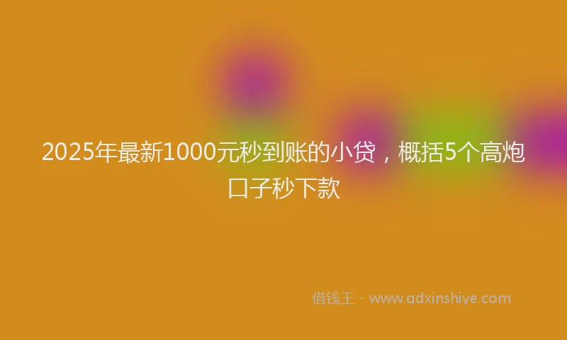 2025年最新1000元秒到账的小贷，概括5个高炮口子秒下款
