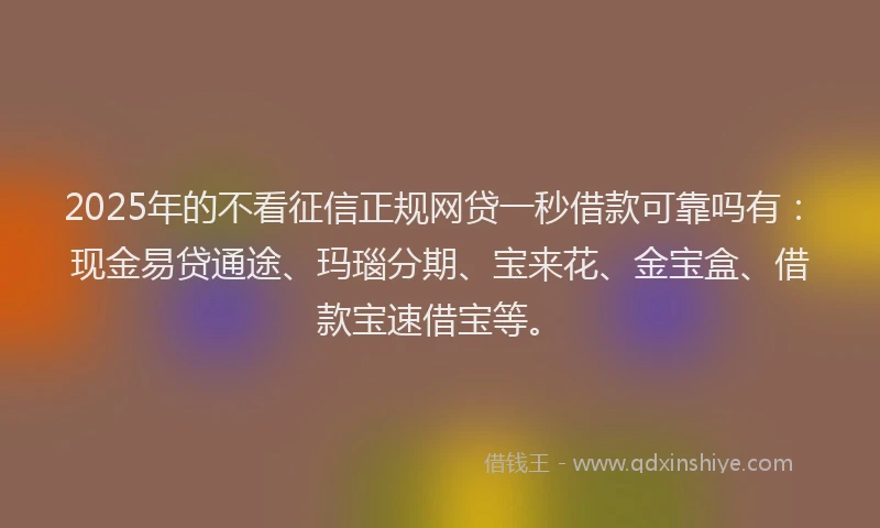 2025年的不看征信正规网贷一秒借款可靠吗有：现金易贷通途、玛瑙分期、宝来花、金宝盒、借款宝速借宝等。